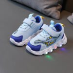 led-shoes (3)