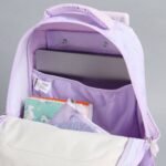HRS-KA-25011PURPLEMULTISHADE-HRS (1)