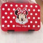 mimy-mouse (2)