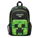 Minecraft (9)