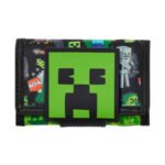 Minecraft (9)